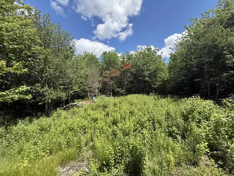 lot27 Lively Brook Acres Acres, Whiting, ME 04691