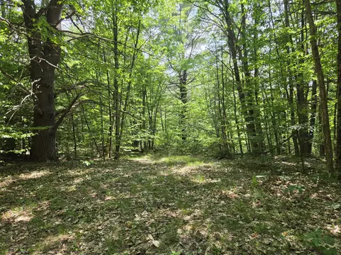 0 Quarry Rd, Jay, ME 04239 photo 2