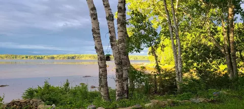 336 Rays Point Rd, Milbridge, ME 04658 photo 5
