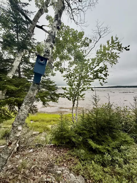 336 Rays Point Rd, Milbridge, ME 04658 photo 40