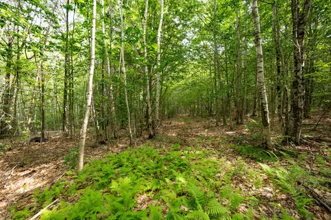 237-001 Hopper Rd, Acton, ME 04001 photo 14