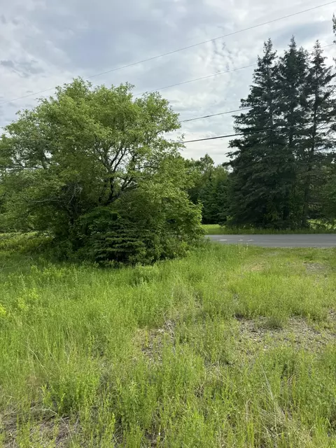 lot51 Peters Cove Rd, Orient, ME 04471