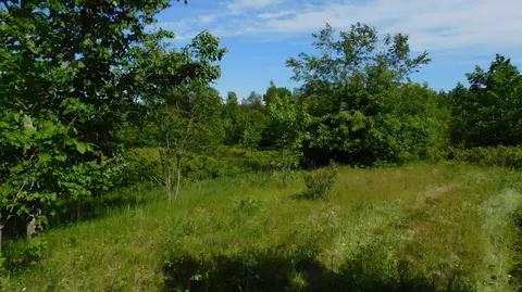 267 Ridge Rd, Robbinston, ME 04671 photo 2