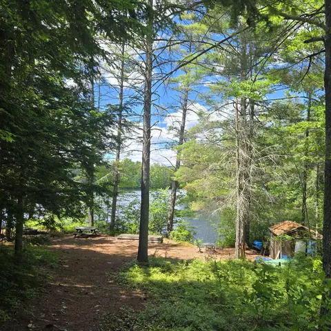 81 Swan Pt, Hiram, ME 04041