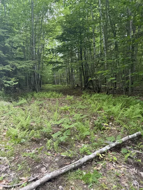 047-025 Cardinal Dr, Embden, ME 04958 photo 35
