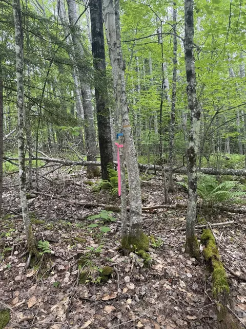 047-025 Cardinal Dr, Embden, ME 04958 photo 36