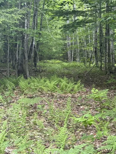 047-025 Cardinal Dr, Embden, ME 04958 photo 37