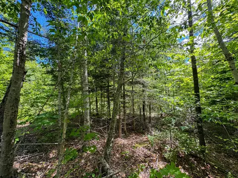 B Lookout Lane, Springfield, ME 04487 photo 15