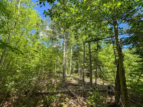 B Lookout Lane, Springfield, ME 04487 photo 16