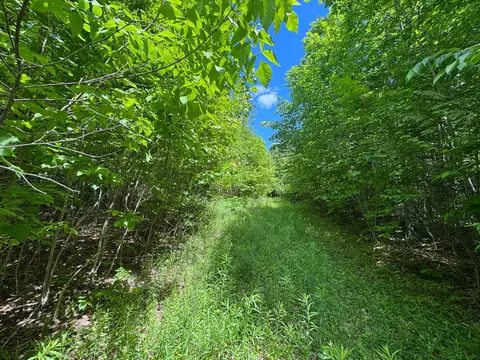 B Lookout Lane, Springfield, ME 04487 photo 10