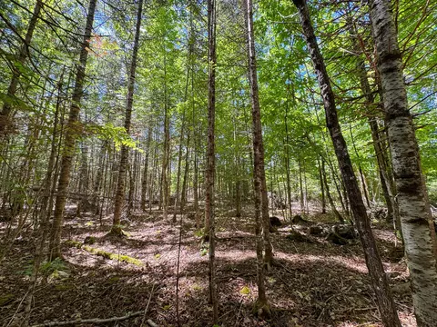 B Lookout Lane, Springfield, ME 04487 photo 12