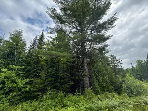 B Lookout Lane, Springfield, ME 04487 photo 25