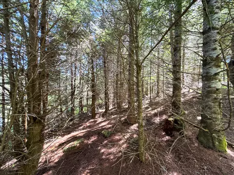 B Lookout Lane, Springfield, ME 04487 photo 32
