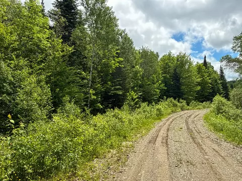 B Lookout Lane, Springfield, ME 04487 photo 24