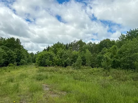 B Lookout Lane, Springfield, ME 04487 photo 26
