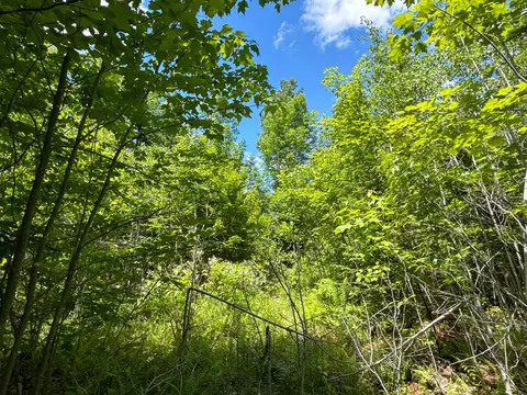 B Lookout Lane, Springfield, ME 04487 photo 28