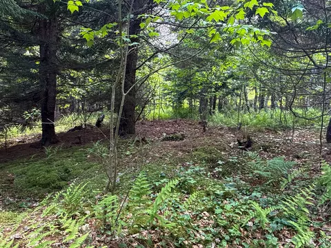 B Lookout Lane, Springfield, ME 04487 photo 29