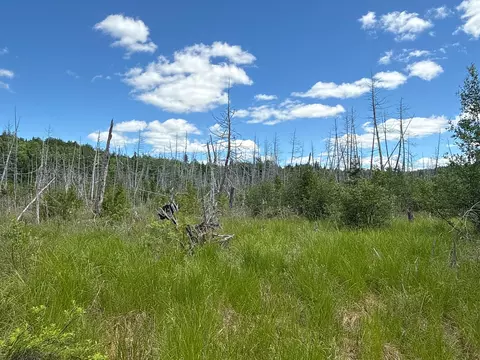 B Lookout Lane, Springfield, ME 04487 photo 33