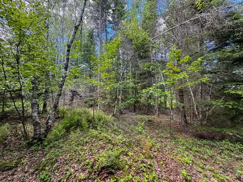 B Lookout Lane, Springfield, ME 04487 photo 17