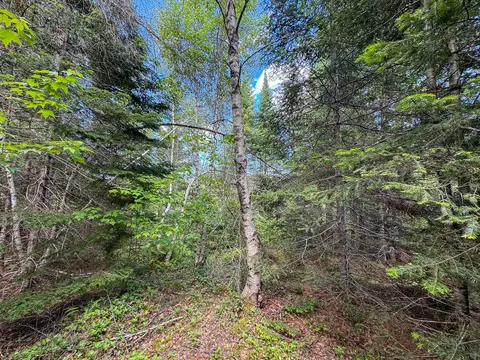 B Lookout Lane, Springfield, ME 04487 photo 18
