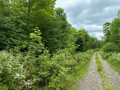 B Lookout Lane, Springfield, ME 04487 photo 23