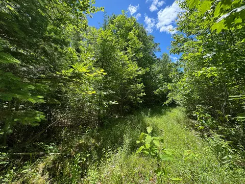 B Lookout Lane, Springfield, ME 04487 photo 13