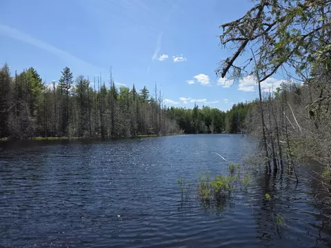 View/Area - L 13 & 15 Bartlett Road, Springfield, ME 04487 photo 2 of 3
