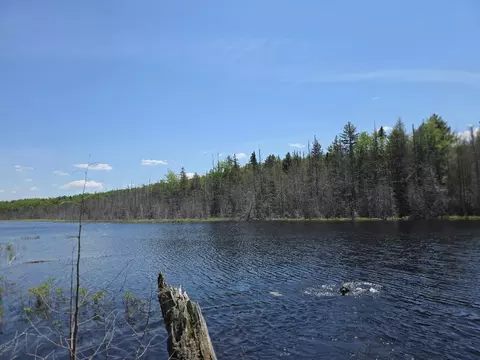 View/Area - L 13 & 15 Bartlett Road, Springfield, ME 04487 photo 1 of 3
