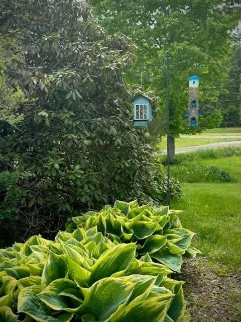 Exterior - 11 Shepherds Way, Augusta, ME 04330 photo 18 of 35