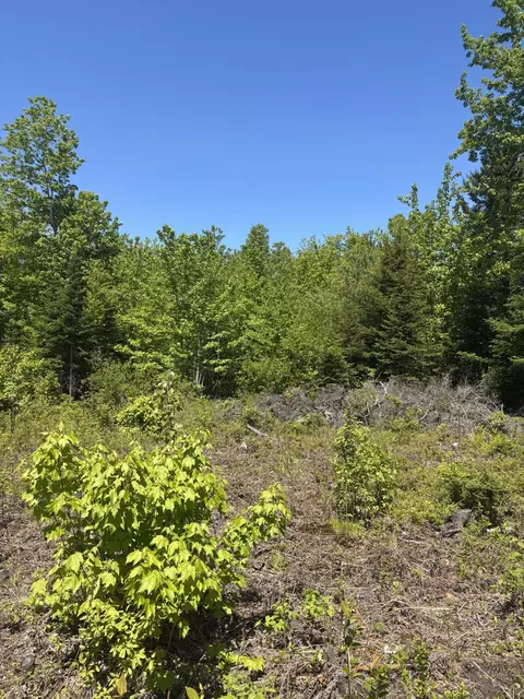 54 Poplar Ln, Hancock, ME 04640