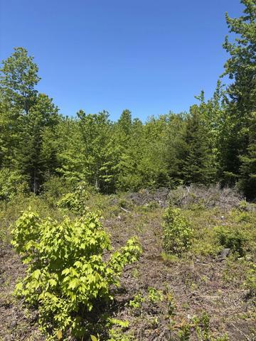 54 Poplar Ln, Hancock, ME 04640