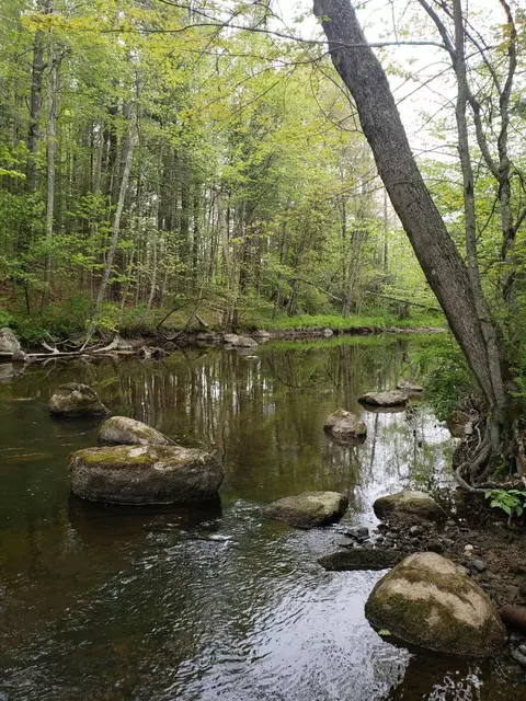 0 Hall Rd, Windham, ME 04062 photo 4