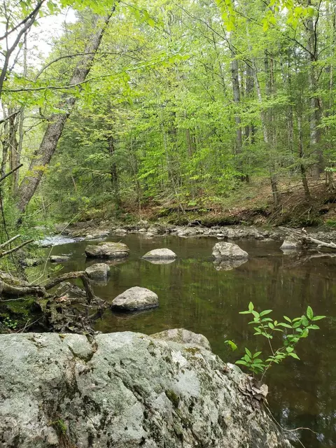 0 Hall Rd, Windham, ME 04062 photo 3