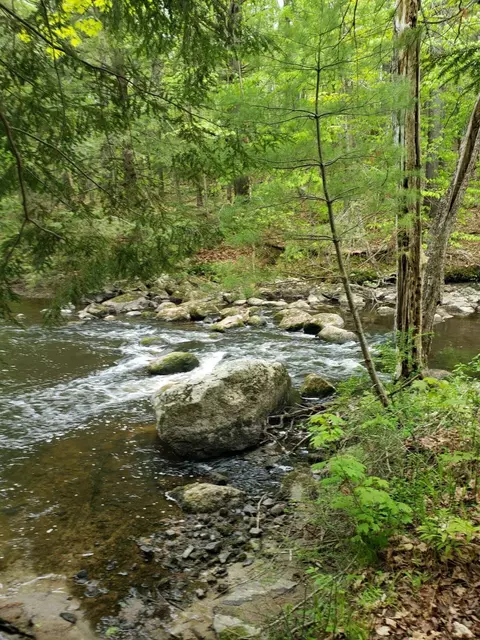 0 Hall Rd, Windham, ME 04062 photo 5