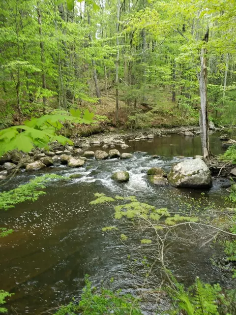 0 Hall Rd, Windham, ME 04062 photo 1