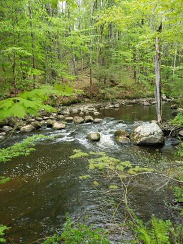 0 Hall Rd, Windham, ME 04062
