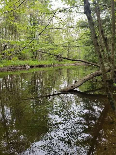0 Hall Rd, Windham, ME 04062 photo 2
