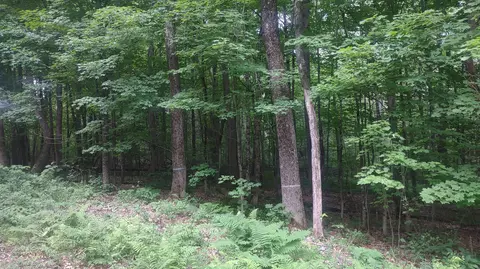 tbd Stream Road Rd, Vienna, ME 04360 photo 7