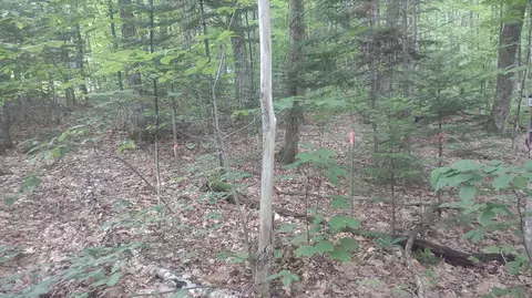 tbd Stream Road Rd, Vienna, ME 04360 photo 5