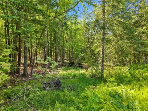 00 Stetson Rd E, Levant, ME 04456 photo 15