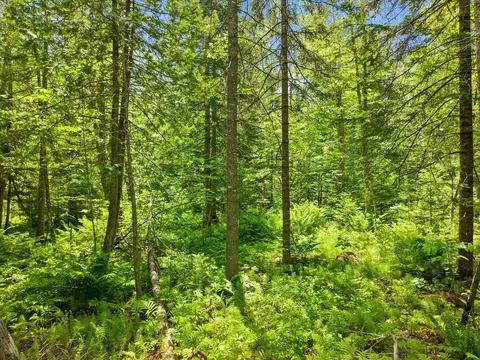 00 Stetson Rd E, Levant, ME 04456 photo 17