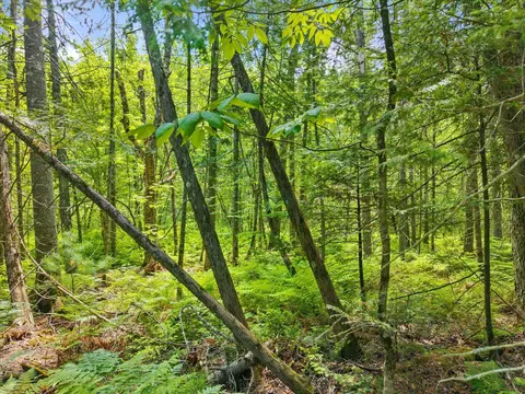 00 Stetson Rd E, Levant, ME 04456 photo 12