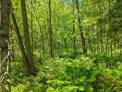 00 Stetson Rd E, Levant, ME 04456 photo 13