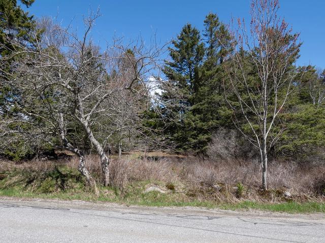 4 30 Ml North Rd, Swans Island, ME 04685
