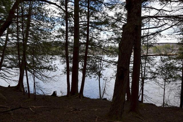 Po M11 L46 Woodcock Lane, Skowhegan, ME 04976