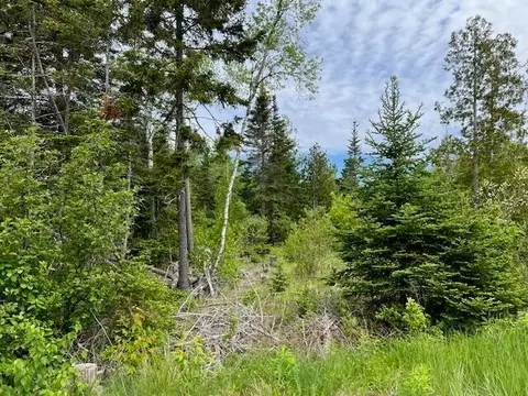 lot29 001 Fifth Ave, Pembroke, ME 04666