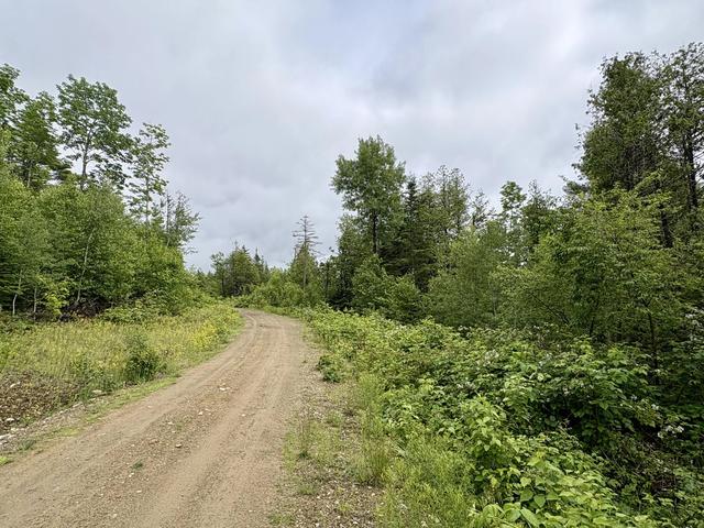 lot11 Mt Jefferson Hts, Lee, ME 04455