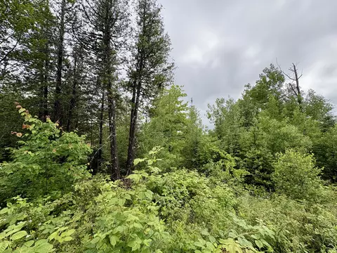 lot12 Mt Jefferson Hts, Lee, ME 04455