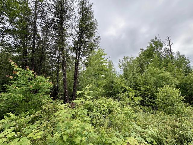 lot12 Mt Jefferson Hts, Lee, ME 04455