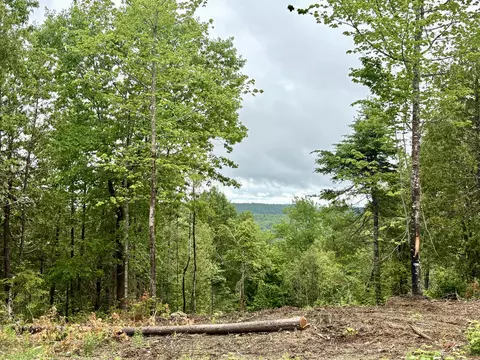 lot13 Mt Jefferson Hts, Lee, ME 04455